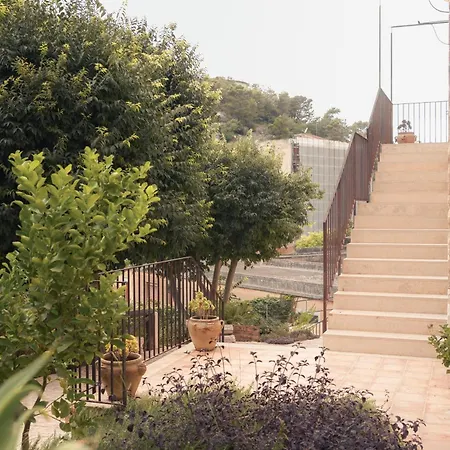 Spighe E Fenicotteri